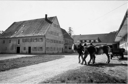 Die Mühle um 1950