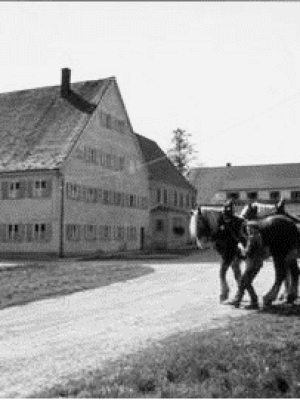 Die Mühle um 1950